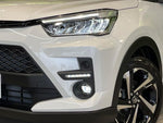RAIZE HYBRID