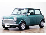 ROVER MINI