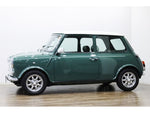 ROVER MINI