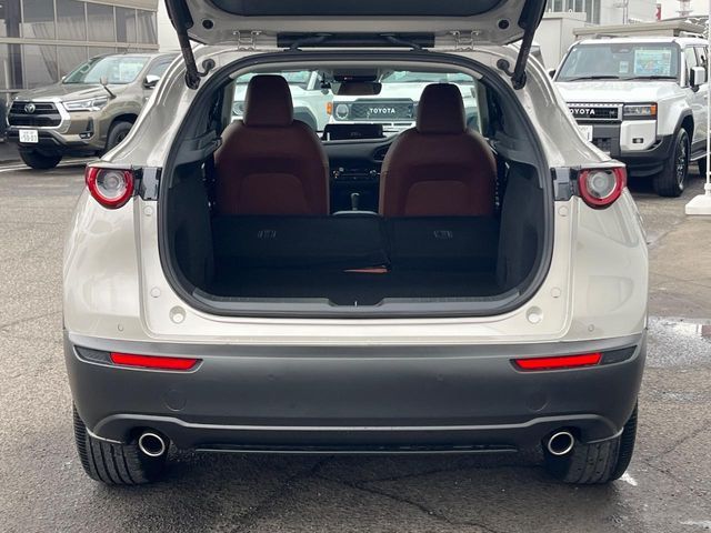 CX-30
