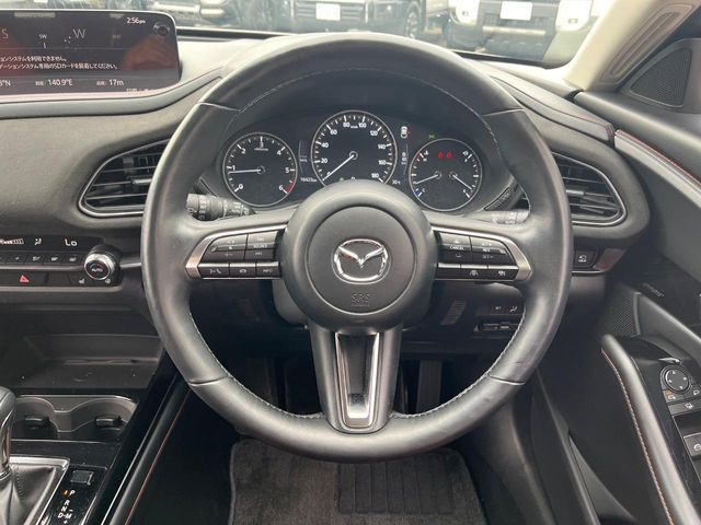 CX-30