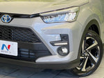RAIZE HYBRID