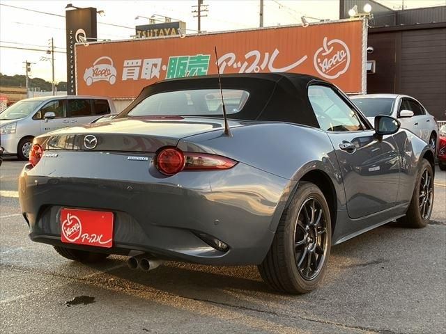 ROADSTER