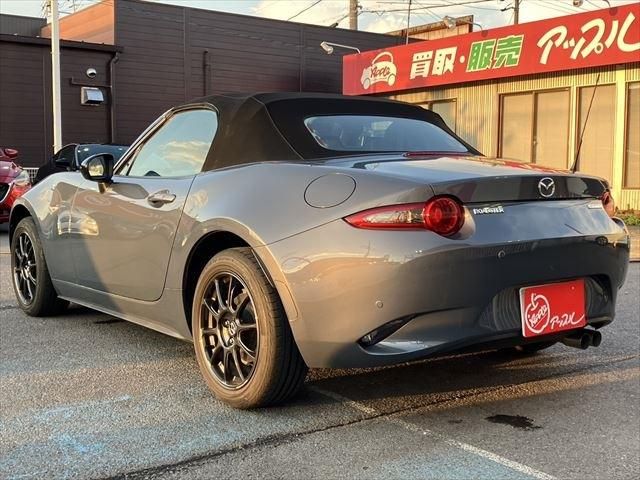 ROADSTER