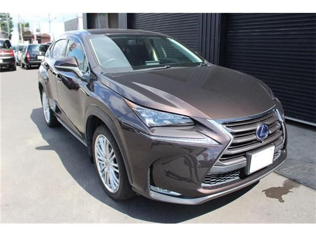 LEXUS NX300h AWD