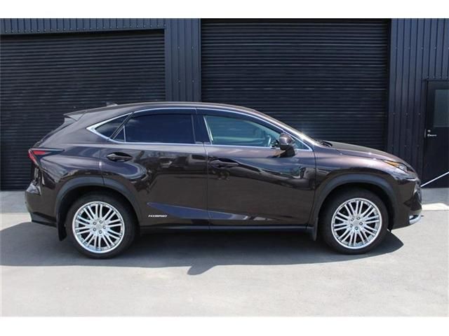 LEXUS NX300h AWD