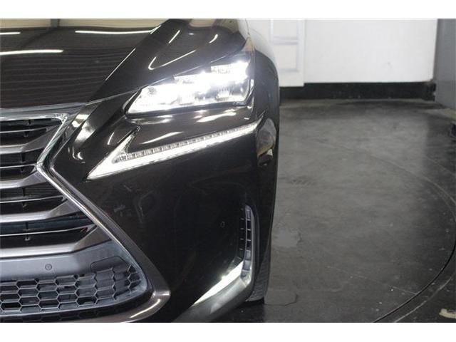 LEXUS NX300h AWD