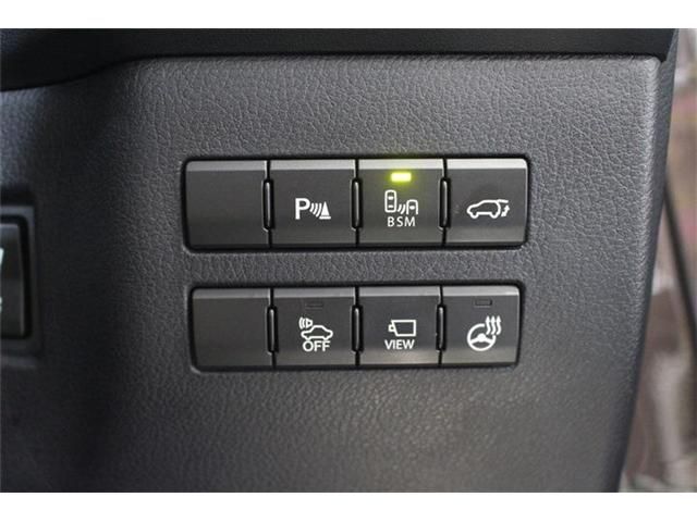 LEXUS NX300h AWD