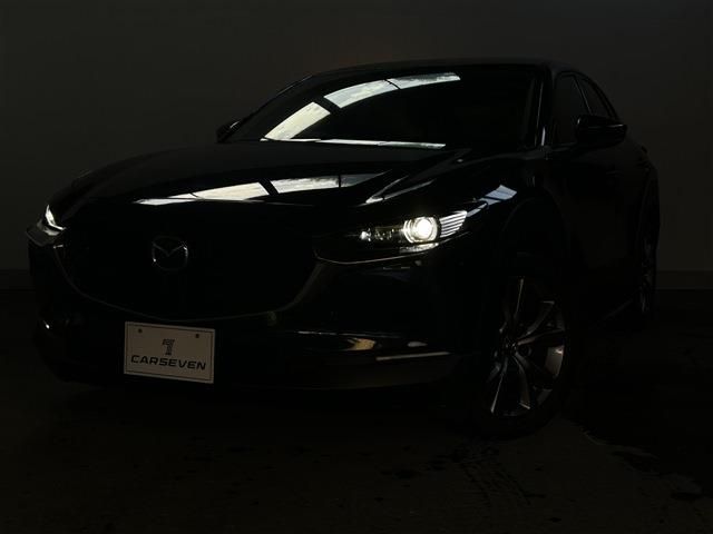 CX-30