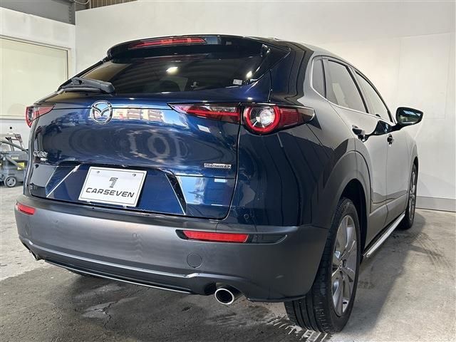 CX-30