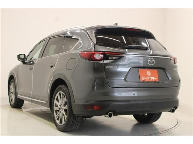CX-8