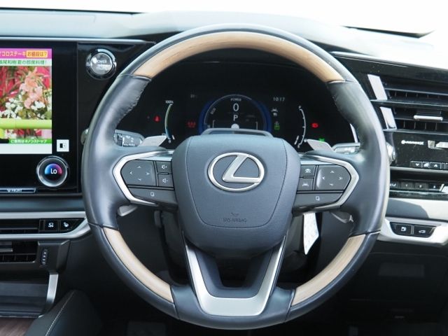 LEXUS RX450h+