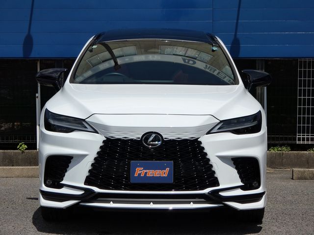LEXUS RX500h