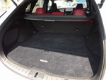 LEXUS RX500h