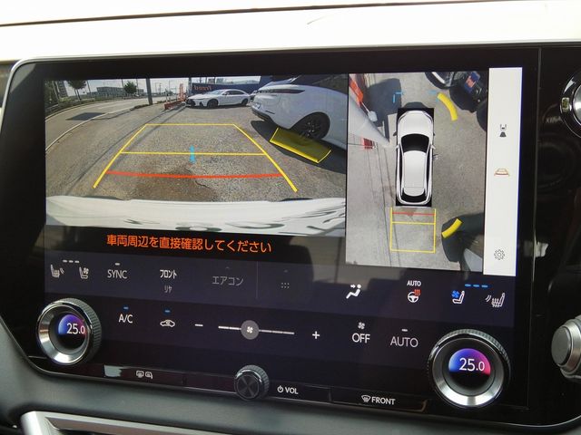 LEXUS RX500h