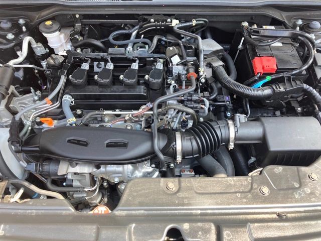 M55