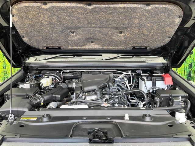 LANDCRUISER 250