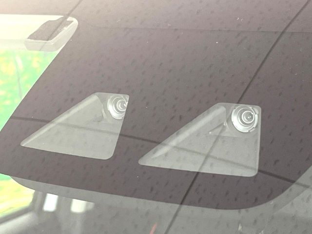 RAIZE