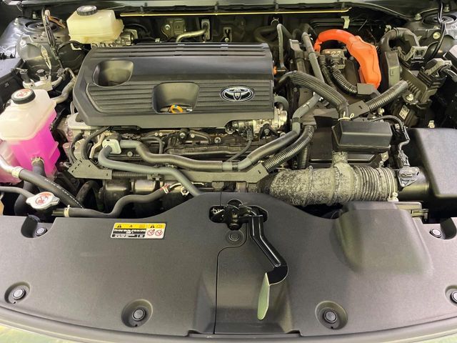 CROWN SPORT