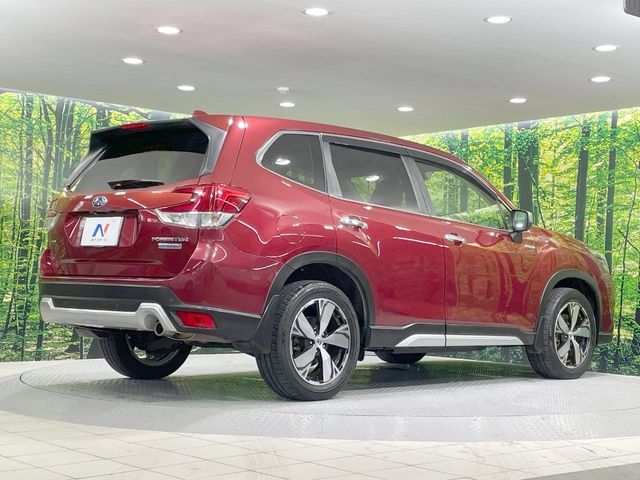 FORESTER