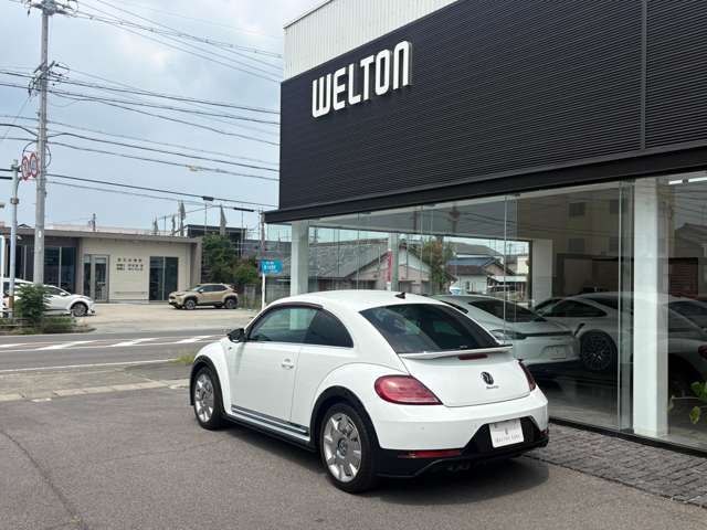 VOLKSWAGEN The BEETLE