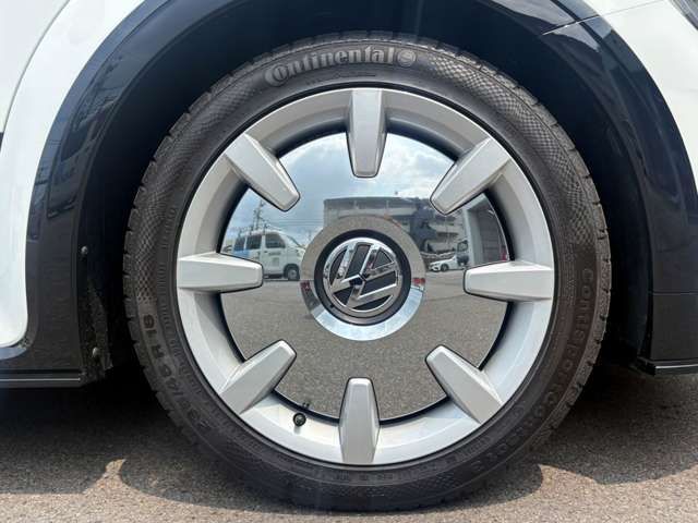 VOLKSWAGEN The BEETLE