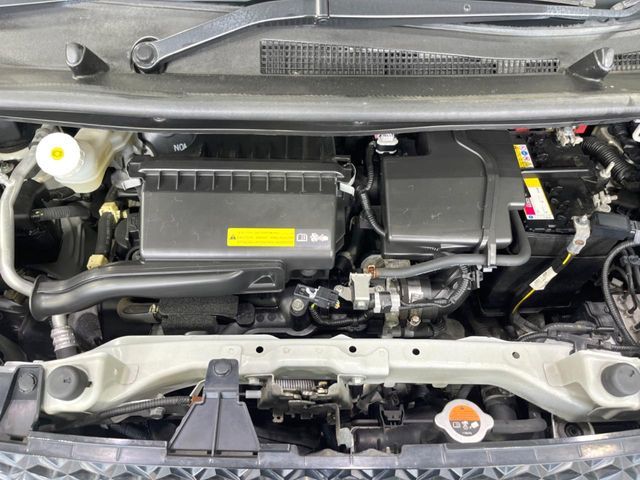 DAYZ