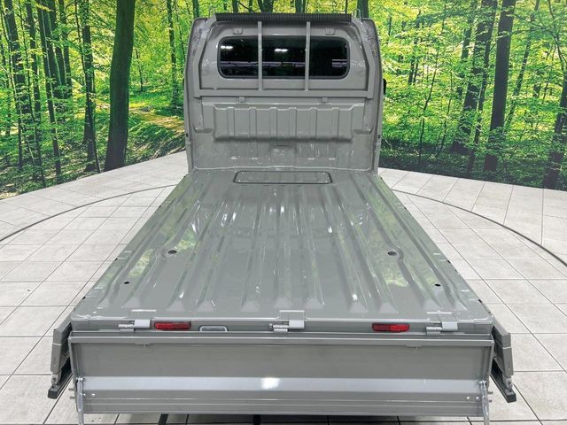 CARRY truck