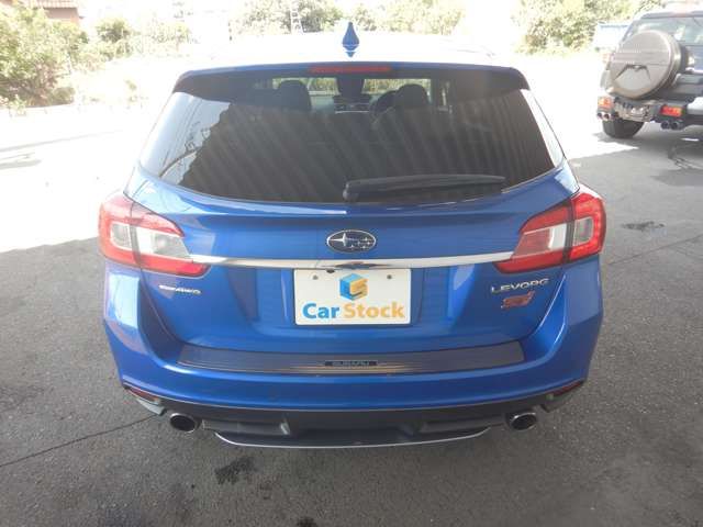LEVORG