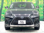 LEXUS NX300h