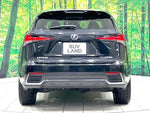 LEXUS NX300h