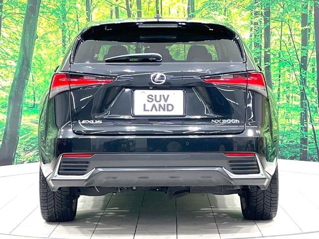 LEXUS NX300h
