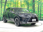LEXUS NX300h