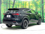 LEXUS NX300h