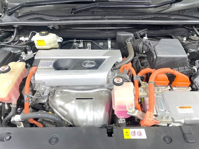 LEXUS NX300h