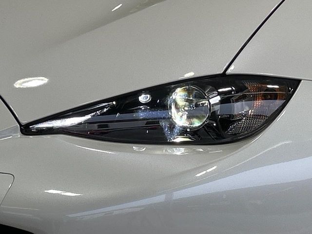 ROADSTER