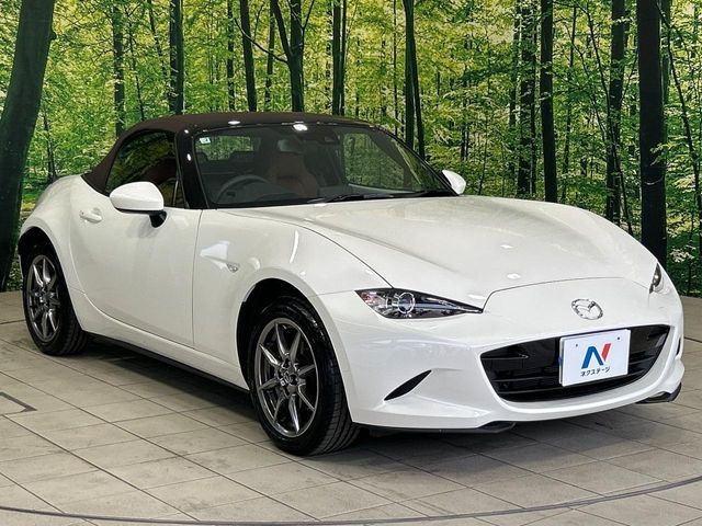 ROADSTER