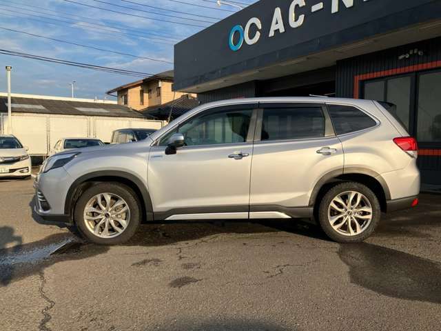 FORESTER