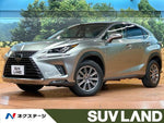 LEXUS NX300