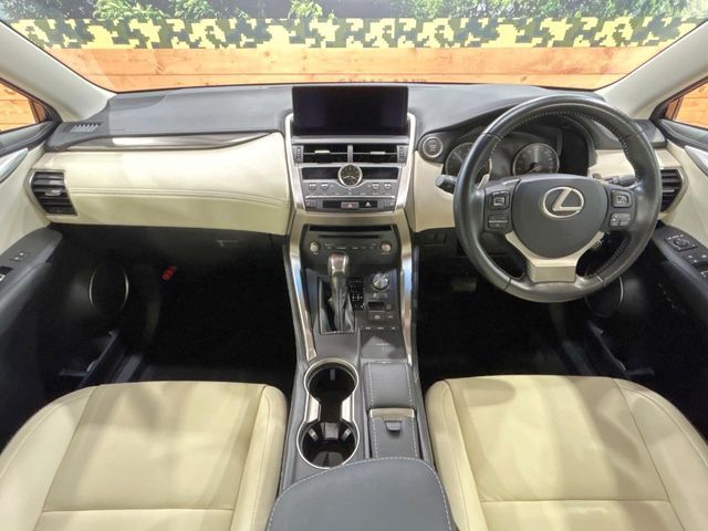 LEXUS NX300