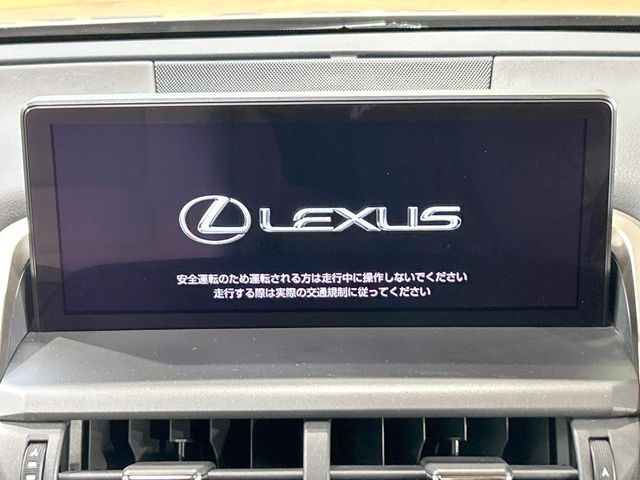 LEXUS NX300