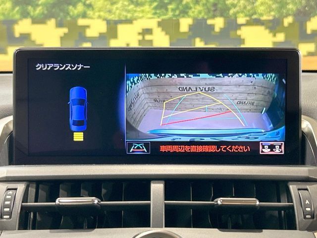LEXUS NX300