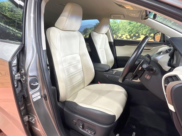 LEXUS NX300