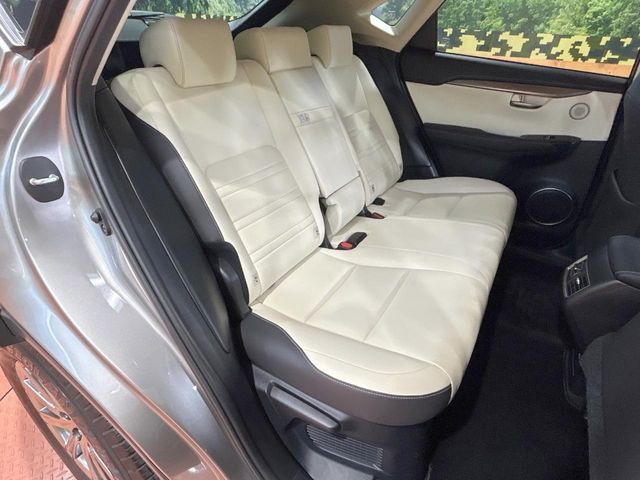 LEXUS NX300