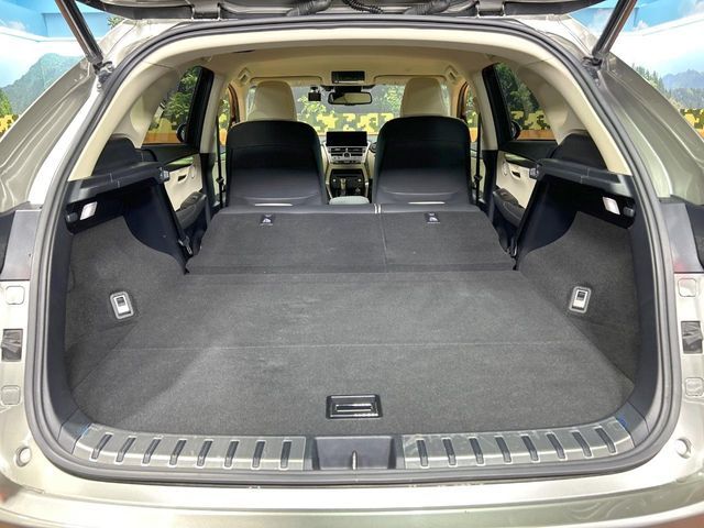 LEXUS NX300