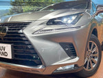 LEXUS NX300