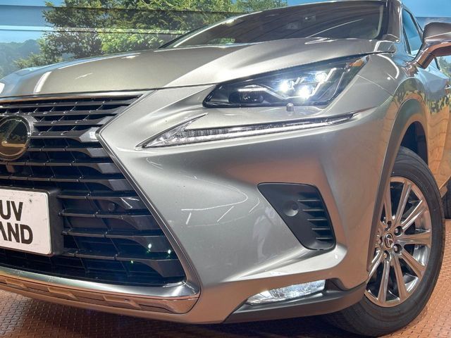 LEXUS NX300