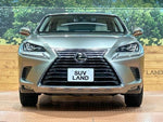 LEXUS NX300