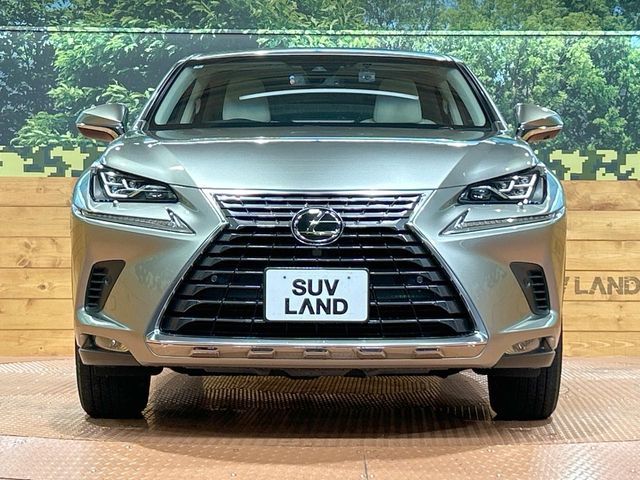 LEXUS NX300