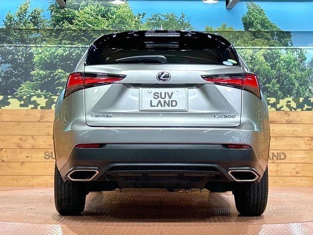 LEXUS NX300